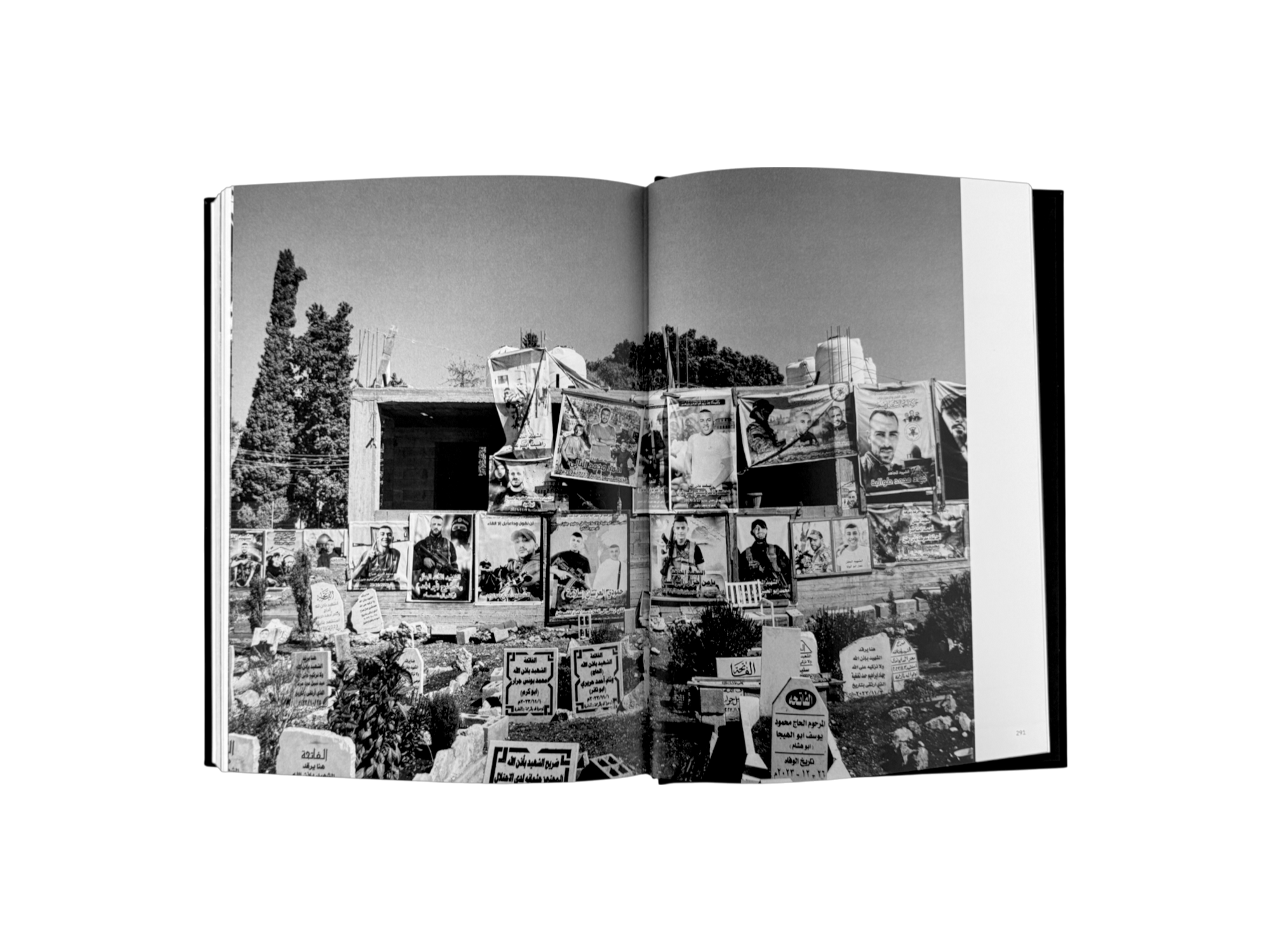 DYING TO EXIST - Basil